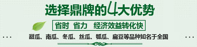購(gòu)買(mǎi)蔬菜種子，選擇鼎牌的四大優(yōu)勢(shì)