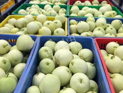 蔬菜種子種植戶客戶點(diǎn)評(píng)-5元1斤，這個(gè)新品種真香甜！