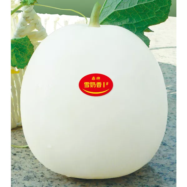 薄皮甜瓜，哪個(gè)品種最好呢？畝產(chǎn)高達(dá)10萬(wàn)，附4種市場(chǎng)爆款品種