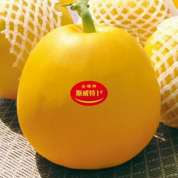 薄皮甜瓜，哪個(gè)品種最好呢？畝產(chǎn)高達(dá)10萬(wàn)，附4種市場(chǎng)爆款品種