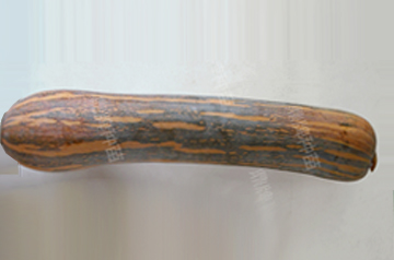 知道最甜最面的南瓜品種嗎？盤點(diǎn)十種有營(yíng)養(yǎng)的甜面南瓜...