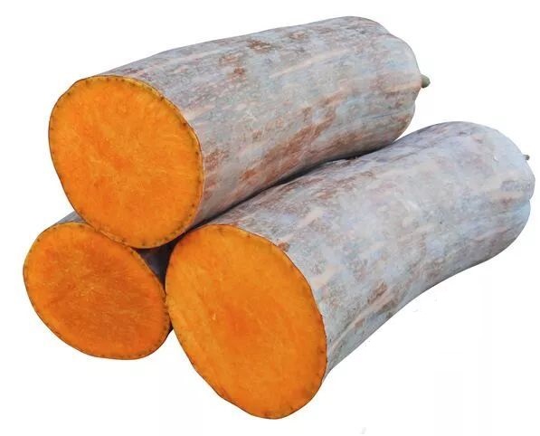 生吃都好吃南瓜新品種，沒有大肚子，肉質(zhì)更密致，農(nóng)戶試種下