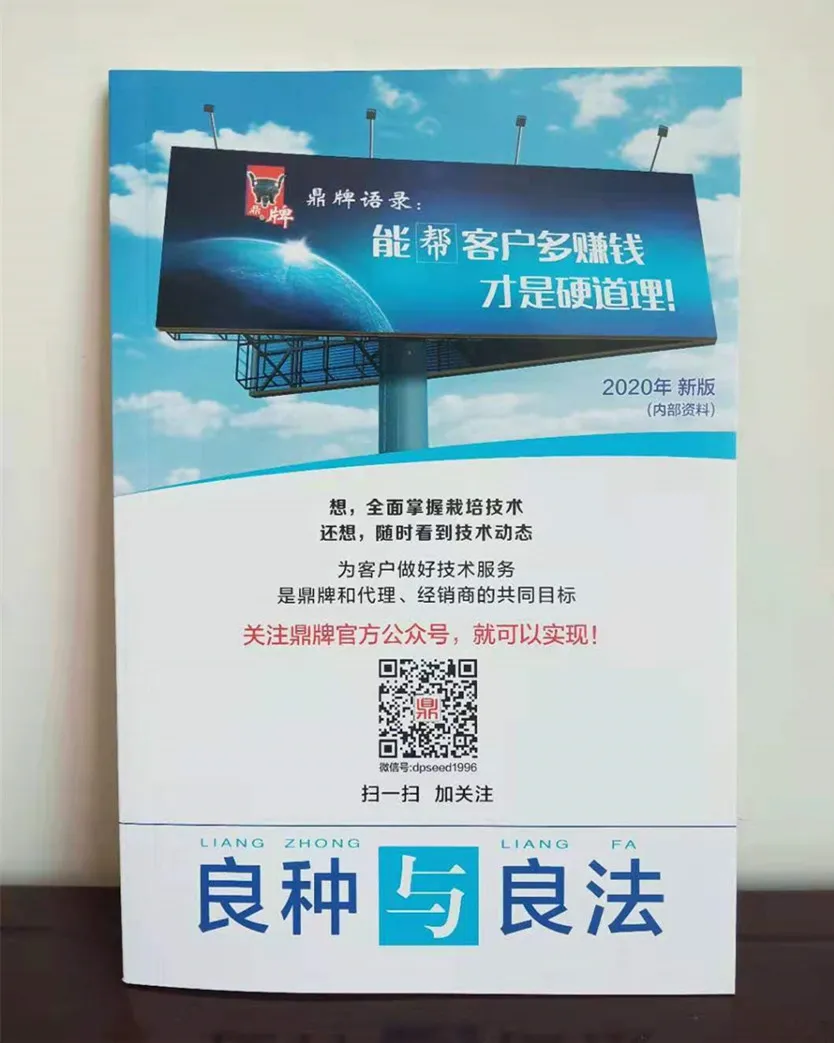 河南焦作的李向林今年種植甜瓜新品種，客戶直接拉貨走人