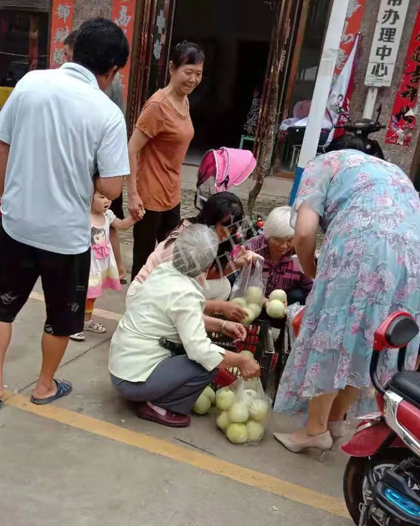 其他品種的甜瓜2塊1斤都賣不動，我的玉奶香2號甜瓜2塊5直接搶