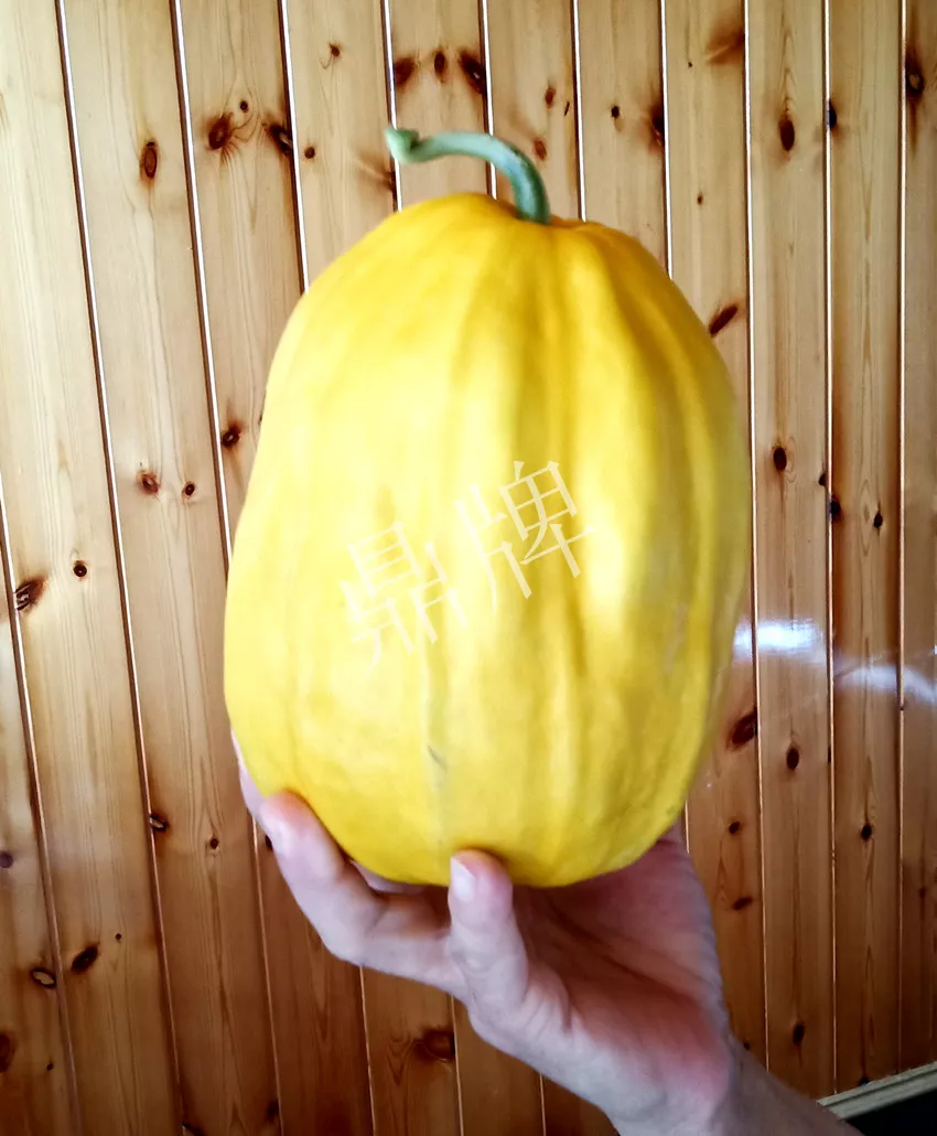 婁底瓜農(nóng)純賺50萬(wàn)，我這個(gè)“張大膽”榮光了一把