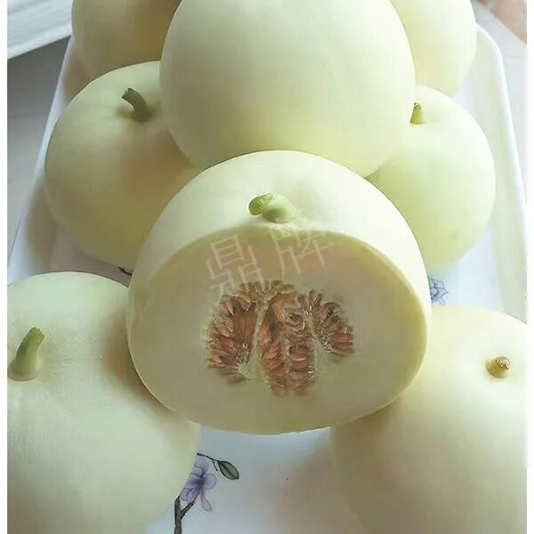 蔬菜種子種植戶客戶點評-這個品種幫我留一些，4月份我們當(dāng)?shù)剡€要種一批呢！