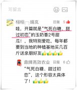 蔬菜種子種植戶客戶點(diǎn)評(píng)-“氣死白糖，甜過(guò)初戀”，您知道或體驗(yàn)過(guò)這句話嗎
